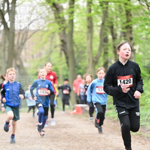 13.04.2025 - Hammer Lauf Dr. Thomas Lammeyer http://msf.ph/oto/7629310 13.04.2025 09:23:15 Laufen 143, 531, 15, 1420, 1001 meine-sportfotos.de