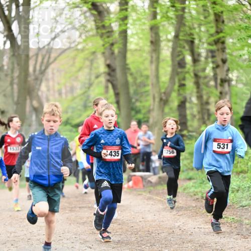 13.04.2025 - Hammer Lauf Dr. Thomas Lammeyer http://msf.ph/oto/7629320 13.04.2025 09:23:16 Laufen 1533, 15, 435, 1756, 15, 531 meine-sportfotos.de
