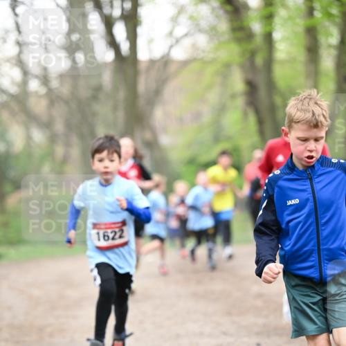 13.04.2025 - Hammer Lauf Dr. Thomas Lammeyer http://msf.ph/oto/7629332 13.04.2025 09:23:17 Laufen 1622 meine-sportfotos.de