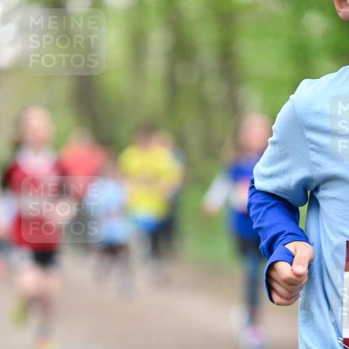 13.04.2025 - Hammer Lauf Dr. Thomas Lammeyer http://msf.ph/oto/7629352 13.04.2025 09:23:19 Laufen  meine-sportfotos.de