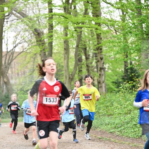 13.04.2025 - Hammer Lauf Dr. Thomas Lammeyer http://msf.ph/oto/7629355 13.04.2025 09:23:19 Laufen 190, 1533, 132, 16, 985 meine-sportfotos.de