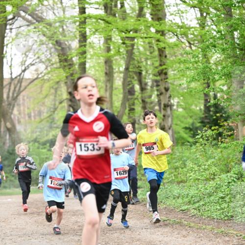 13.04.2025 - Hammer Lauf Dr. Thomas Lammeyer http://msf.ph/oto/7629358 13.04.2025 09:23:19 Laufen 190, 108, 1533, 1625, 985 meine-sportfotos.de