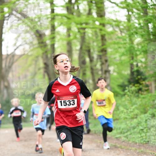 13.04.2025 - Hammer Lauf Dr. Thomas Lammeyer http://msf.ph/oto/7629361 13.04.2025 09:23:20 Laufen 16, 15, 1533, 16 meine-sportfotos.de