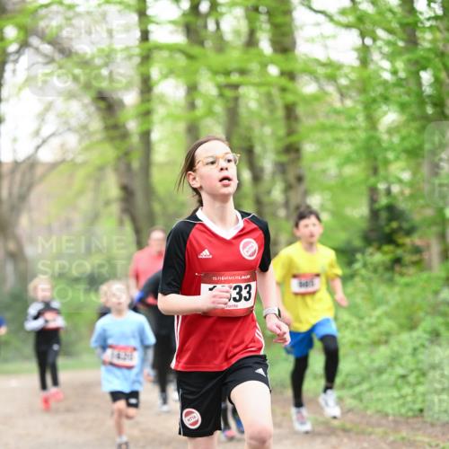 13.04.2025 - Hammer Lauf Dr. Thomas Lammeyer http://msf.ph/oto/7629363 13.04.2025 09:23:20 Laufen 16, 15, 33, 16 meine-sportfotos.de