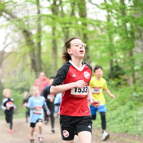 13.04.2025 - Hammer Lauf Dr. Thomas Lammeyer http://msf.ph/oto/7629366 13.04.2025 09:23:20 Laufen 16, 1533 meine-sportfotos.de