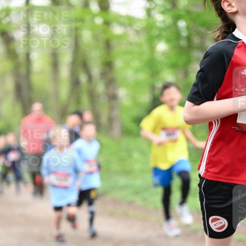 13.04.2025 - Hammer Lauf Dr. Thomas Lammeyer http://msf.ph/oto/7629373 13.04.2025 09:23:20 Laufen 16 meine-sportfotos.de