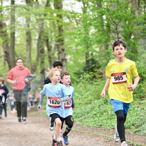 13.04.2025 - Hammer Lauf Dr. Thomas Lammeyer http://msf.ph/oto/7629379 13.04.2025 09:23:21 Laufen 15, 1620, 625, 9, 15, 985 meine-sportfotos.de