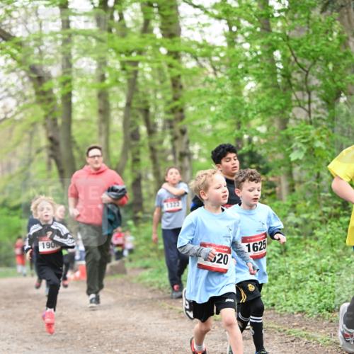 13.04.2025 - Hammer Lauf Dr. Thomas Lammeyer http://msf.ph/oto/7629383 13.04.2025 09:23:21 Laufen 190, 1322, 15, 1625, 15, 20 meine-sportfotos.de