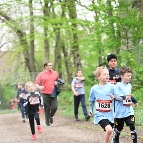 13.04.2025 - Hammer Lauf Dr. Thomas Lammeyer http://msf.ph/oto/7629392 13.04.2025 09:23:21 Laufen 1906, 15, 1620, 9 meine-sportfotos.de