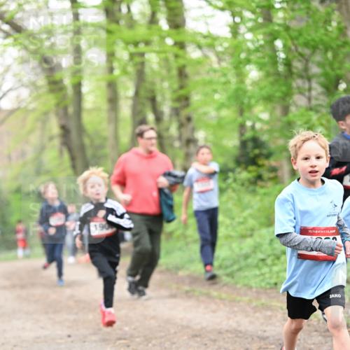 13.04.2025 - Hammer Lauf Dr. Thomas Lammeyer http://msf.ph/oto/7629400 13.04.2025 09:23:22 Laufen 15 meine-sportfotos.de