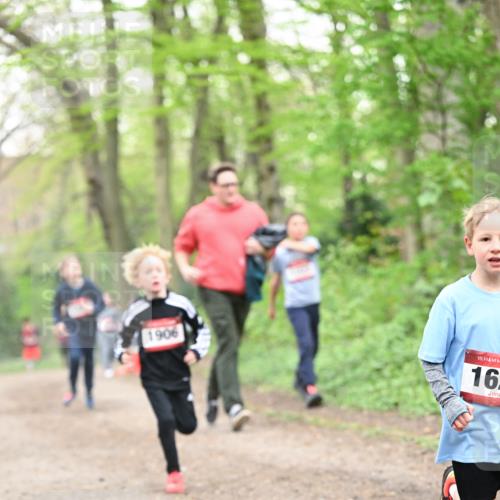 13.04.2025 - Hammer Lauf Dr. Thomas Lammeyer http://msf.ph/oto/7629402 13.04.2025 09:23:22 Laufen 1906, 15, 16 meine-sportfotos.de
