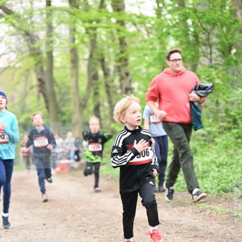 13.04.2025 - Hammer Lauf Dr. Thomas Lammeyer http://msf.ph/oto/7629419 13.04.2025 09:23:23 Laufen 90, 41010, 06 meine-sportfotos.de