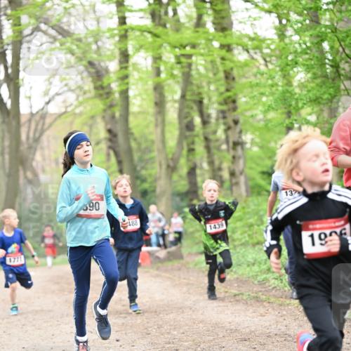 13.04.2025 - Hammer Lauf Dr. Thomas Lammeyer http://msf.ph/oto/7629424 13.04.2025 09:23:23 Laufen 1771, 90, 488, 1439, 132, 196 meine-sportfotos.de