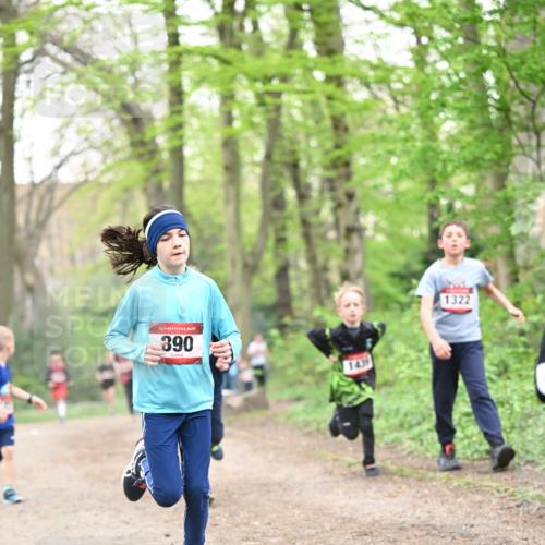 13.04.2025 - Hammer Lauf Dr. Thomas Lammeyer http://msf.ph/oto/7629432 13.04.2025 09:23:23 Laufen 15, 390, 1439, 1322 meine-sportfotos.de
