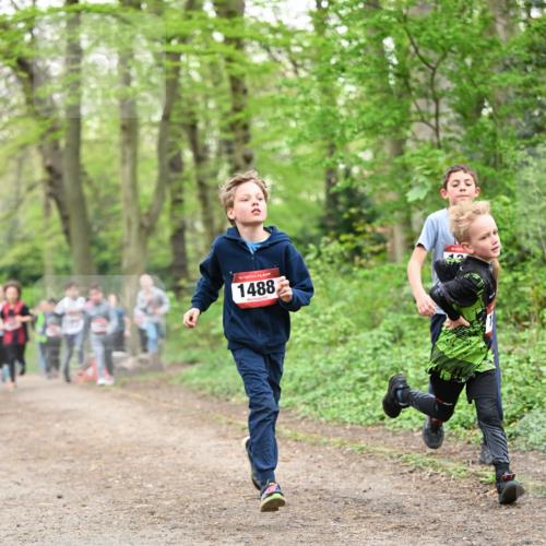 13.04.2025 - Hammer Lauf Dr. Thomas Lammeyer http://msf.ph/oto/7629456 13.04.2025 09:23:25 Laufen 15, 1488 meine-sportfotos.de