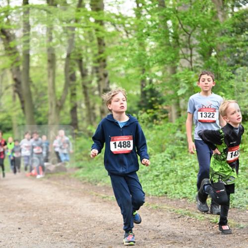 13.04.2025 - Hammer Lauf Dr. Thomas Lammeyer http://msf.ph/oto/7629462 13.04.2025 09:23:25 Laufen 15, 1488, 1322, 143 meine-sportfotos.de