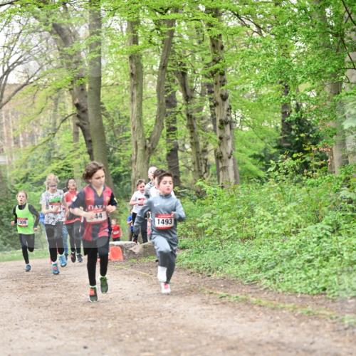 13.04.2025 - Hammer Lauf Dr. Thomas Lammeyer http://msf.ph/oto/7629514 13.04.2025 09:23:27 Laufen 1309, 44, 1493 meine-sportfotos.de