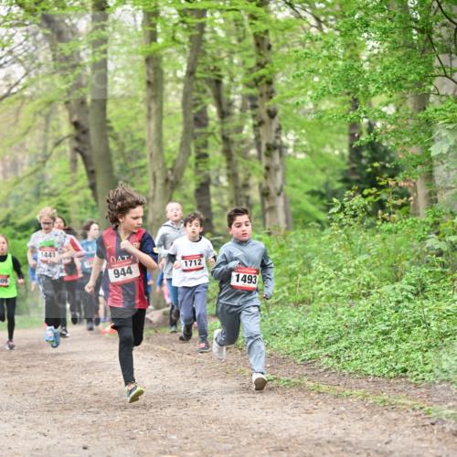 13.04.2025 - Hammer Lauf Dr. Thomas Lammeyer http://msf.ph/oto/7629526 13.04.2025 09:23:28 Laufen 309, 1441, 944, 1712, 1493 meine-sportfotos.de