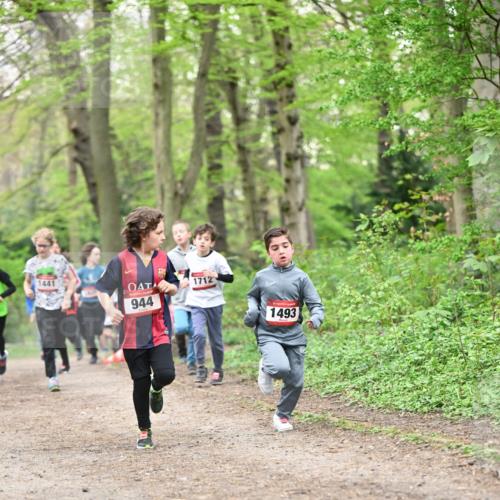 13.04.2025 - Hammer Lauf Dr. Thomas Lammeyer http://msf.ph/oto/7629532 13.04.2025 09:23:28 Laufen 1441, 944, 1712, 1493 meine-sportfotos.de