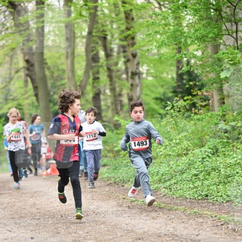 13.04.2025 - Hammer Lauf Dr. Thomas Lammeyer http://msf.ph/oto/7629537 13.04.2025 09:23:28 Laufen 1441, 1712, 1493 meine-sportfotos.de