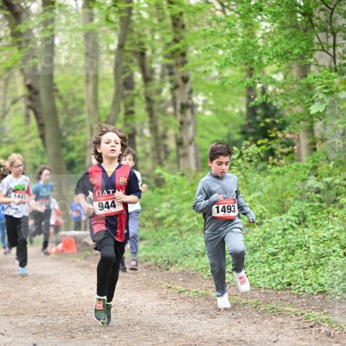 13.04.2025 - Hammer Lauf Dr. Thomas Lammeyer http://msf.ph/oto/7629540 13.04.2025 09:23:28 Laufen 1441, 944, 1493 meine-sportfotos.de