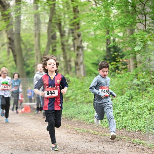 13.04.2025 - Hammer Lauf Dr. Thomas Lammeyer http://msf.ph/oto/7629543 13.04.2025 09:23:28 Laufen 441, 944, 1493 meine-sportfotos.de