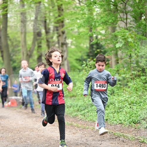 13.04.2025 - Hammer Lauf Dr. Thomas Lammeyer http://msf.ph/oto/7629551 13.04.2025 09:23:29 Laufen 4151, 15, 044, 15, 1493 meine-sportfotos.de