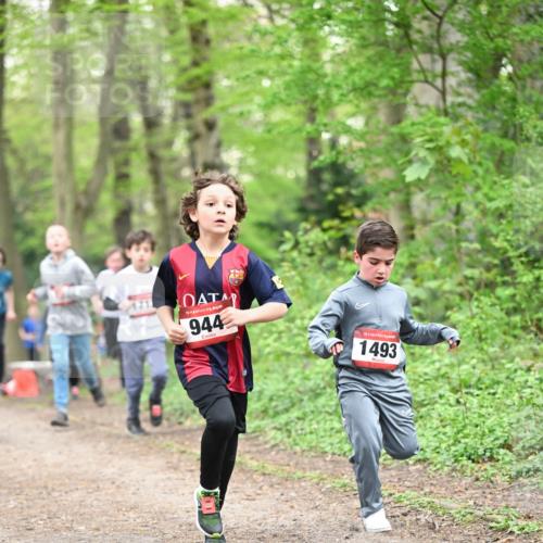 13.04.2025 - Hammer Lauf Dr. Thomas Lammeyer http://msf.ph/oto/7629554 13.04.2025 09:23:29 Laufen 171, 15, 944, 15, 1493 meine-sportfotos.de