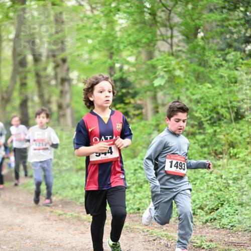 13.04.2025 - Hammer Lauf Dr. Thomas Lammeyer http://msf.ph/oto/7629563 13.04.2025 09:23:29 Laufen 1712, 544, 15, 1493 meine-sportfotos.de