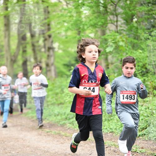 13.04.2025 - Hammer Lauf Dr. Thomas Lammeyer http://msf.ph/oto/7629568 13.04.2025 09:23:29 Laufen 0104, 15, 14, 15, 1493 meine-sportfotos.de