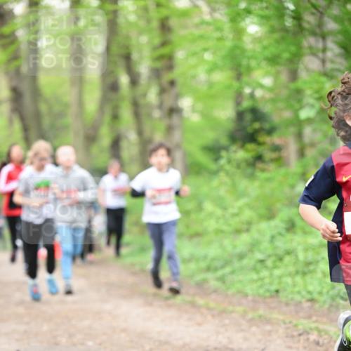 13.04.2025 - Hammer Lauf Dr. Thomas Lammeyer http://msf.ph/oto/7629574 13.04.2025 09:23:30 Laufen  meine-sportfotos.de