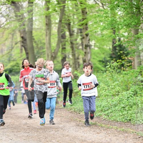 13.04.2025 - Hammer Lauf Dr. Thomas Lammeyer http://msf.ph/oto/7629577 13.04.2025 09:23:30 Laufen 09, 12, 859, 1717 meine-sportfotos.de