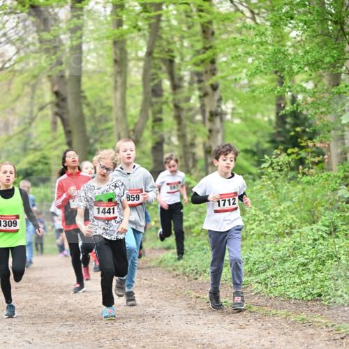 13.04.2025 - Hammer Lauf Dr. Thomas Lammeyer http://msf.ph/oto/7629581 13.04.2025 09:23:30 Laufen 1309, 1441, 859, 597, 1712 meine-sportfotos.de