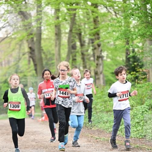 13.04.2025 - Hammer Lauf Dr. Thomas Lammeyer http://msf.ph/oto/7629597 13.04.2025 09:23:31 Laufen 1309, 12, 1441, 359, 712 meine-sportfotos.de