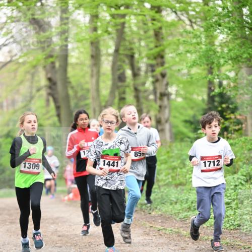 13.04.2025 - Hammer Lauf Dr. Thomas Lammeyer http://msf.ph/oto/7629602 13.04.2025 09:23:31 Laufen 1309, 13, 15, 1441, 855, 15, 1712 meine-sportfotos.de