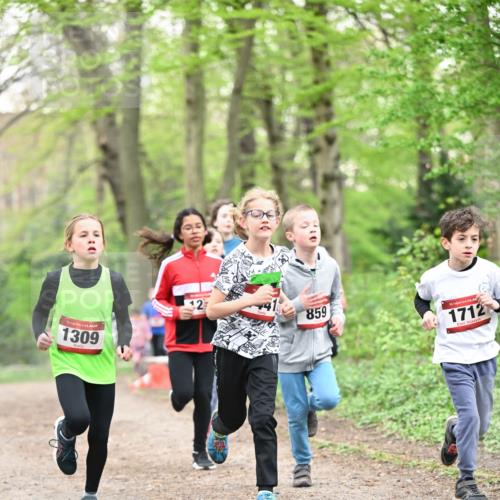 13.04.2025 - Hammer Lauf Dr. Thomas Lammeyer http://msf.ph/oto/7629610 13.04.2025 09:23:31 Laufen 15, 1309, 859, 15, 1712 meine-sportfotos.de