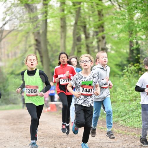 13.04.2025 - Hammer Lauf Dr. Thomas Lammeyer http://msf.ph/oto/7629615 13.04.2025 09:23:31 Laufen 1309, 1211, 15, 1441 meine-sportfotos.de