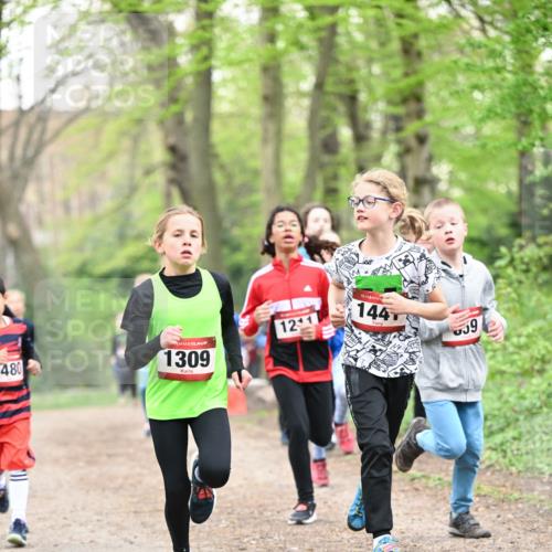 13.04.2025 - Hammer Lauf Dr. Thomas Lammeyer http://msf.ph/oto/7629619 13.04.2025 09:23:32 Laufen 480, 1309, 1211, 15, 144, 59 meine-sportfotos.de