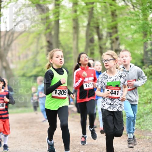 13.04.2025 - Hammer Lauf Dr. Thomas Lammeyer http://msf.ph/oto/7629622 13.04.2025 09:23:32 Laufen 80, 1309, 121, 15, 441 meine-sportfotos.de