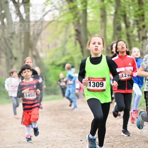 13.04.2025 - Hammer Lauf Dr. Thomas Lammeyer http://msf.ph/oto/7629630 13.04.2025 09:23:32 Laufen 121, 15, 1480, 1309 meine-sportfotos.de
