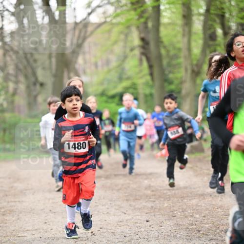 13.04.2025 - Hammer Lauf Dr. Thomas Lammeyer http://msf.ph/oto/7629645 13.04.2025 09:23:32 Laufen 1480, 338 meine-sportfotos.de