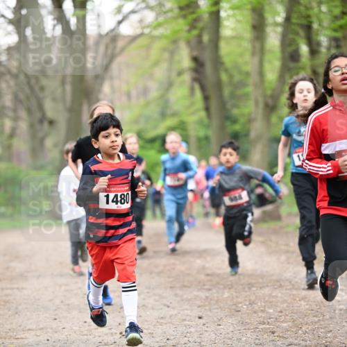13.04.2025 - Hammer Lauf Dr. Thomas Lammeyer http://msf.ph/oto/7629650 13.04.2025 09:23:33 Laufen 15, 1480 meine-sportfotos.de