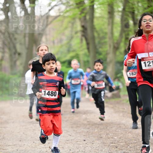 13.04.2025 - Hammer Lauf Dr. Thomas Lammeyer http://msf.ph/oto/7629653 13.04.2025 09:23:33 Laufen 15, 1480, 985, 182, 15, 121 meine-sportfotos.de