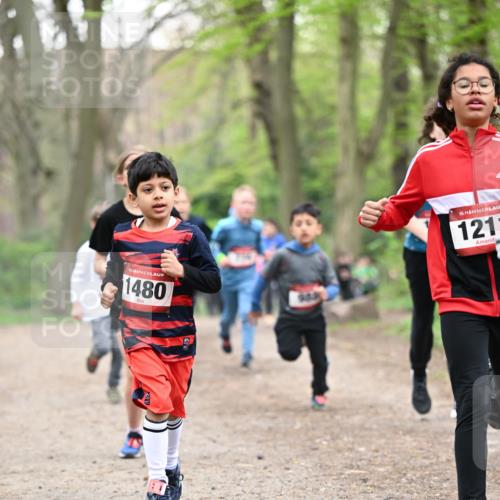 13.04.2025 - Hammer Lauf Dr. Thomas Lammeyer http://msf.ph/oto/7629658 13.04.2025 09:23:33 Laufen 1480, 15, 1211 meine-sportfotos.de