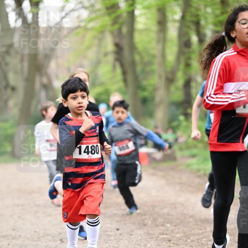 13.04.2025 - Hammer Lauf Dr. Thomas Lammeyer http://msf.ph/oto/7629666 13.04.2025 09:23:33 Laufen 1480 meine-sportfotos.de