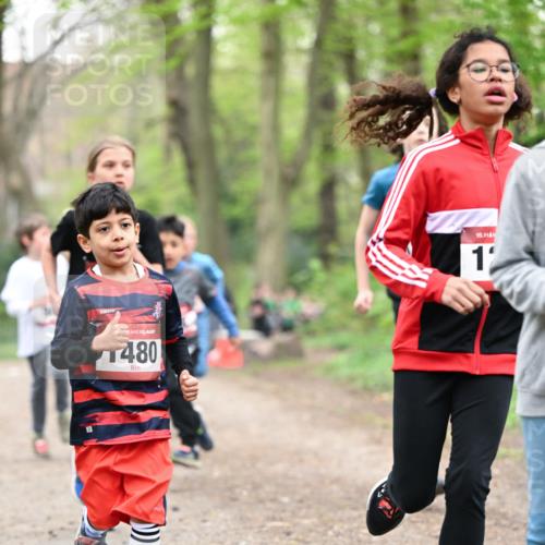 13.04.2025 - Hammer Lauf Dr. Thomas Lammeyer http://msf.ph/oto/7629671 13.04.2025 09:23:33 Laufen 480, 15, 1 meine-sportfotos.de