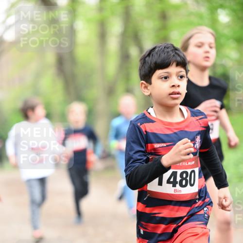 13.04.2025 - Hammer Lauf Dr. Thomas Lammeyer http://msf.ph/oto/7629689 13.04.2025 09:23:34 Laufen 1480 meine-sportfotos.de