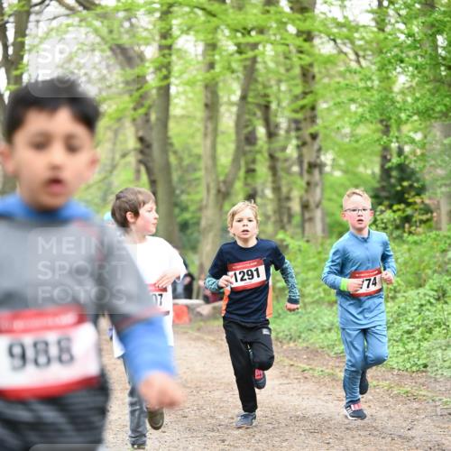13.04.2025 - Hammer Lauf Dr. Thomas Lammeyer http://msf.ph/oto/7629699 13.04.2025 09:23:35 Laufen 988, 07, 1291, 74 meine-sportfotos.de