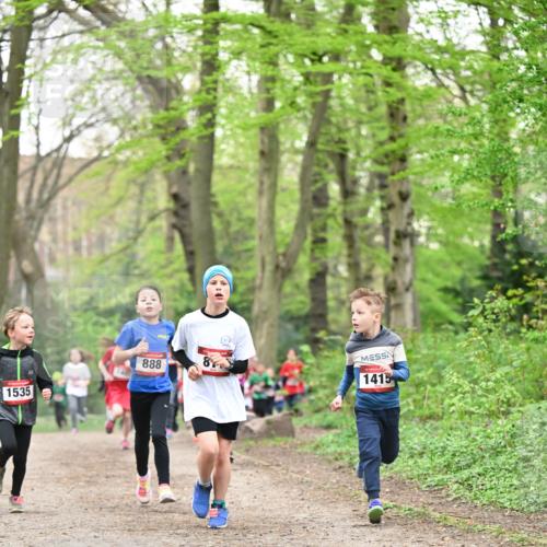 13.04.2025 - Hammer Lauf Dr. Thomas Lammeyer http://msf.ph/oto/7629732 13.04.2025 09:23:38 Laufen 888, 1535, 1415 meine-sportfotos.de