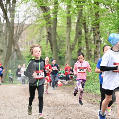 13.04.2025 - Hammer Lauf Dr. Thomas Lammeyer http://msf.ph/oto/7629755 13.04.2025 09:23:39 Laufen 535, 407, 636 meine-sportfotos.de